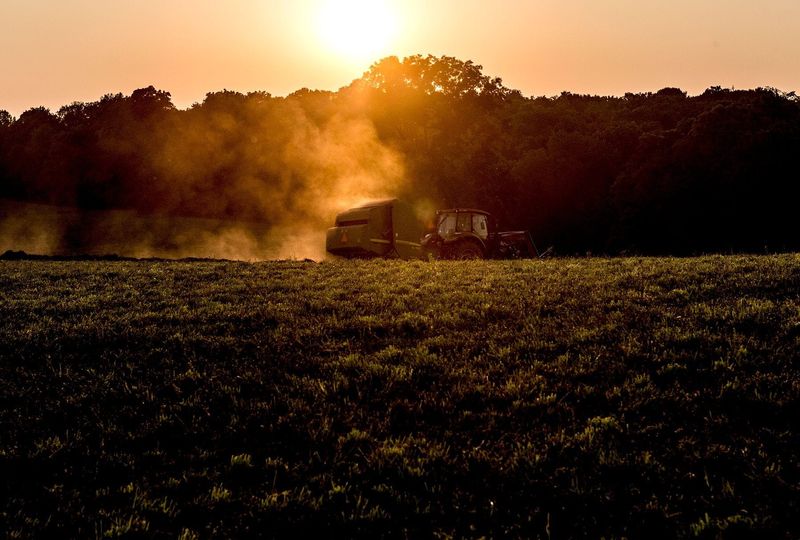 According to the United States Department of Agriculture, U.S. agriculture and rural life underwent a tremendous transformation in the 20th century. Early 20th century agriculture was labor intensive, and it took place on many small, diversified farms in rural areas where more than half the U.S. population lived. Agricultural production in the 21st century, on the other hand, is concentrated on a smaller number of large, specialized farms in rural areas where less than a fourth of the U.S. population lives.