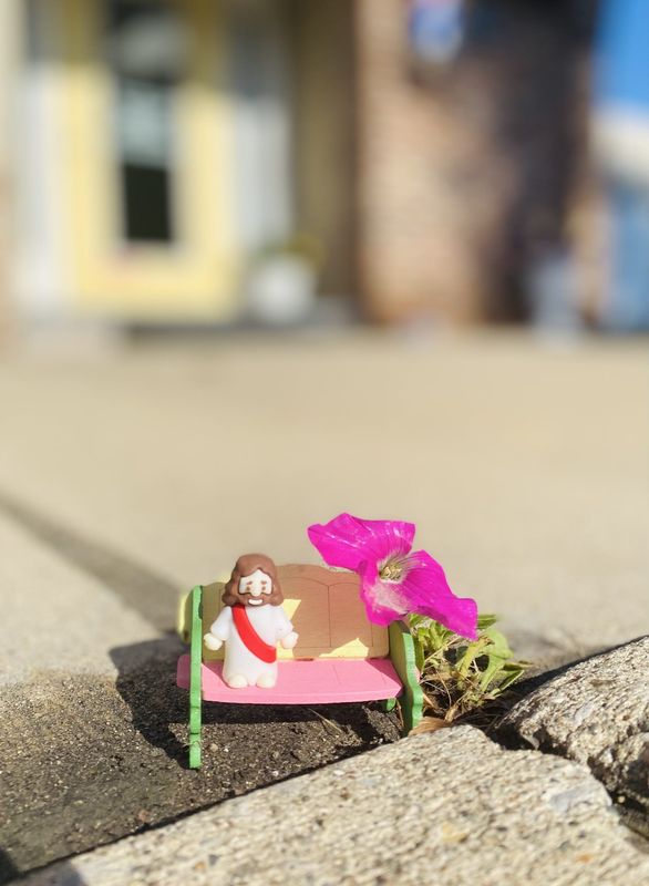 A single petunia grew through a sidewalk crack in Ida. Business owner Amanda Sharp named it the Ida Petunia. Since Wednesday, many have stopped by to see the flower and some have left items for a display.