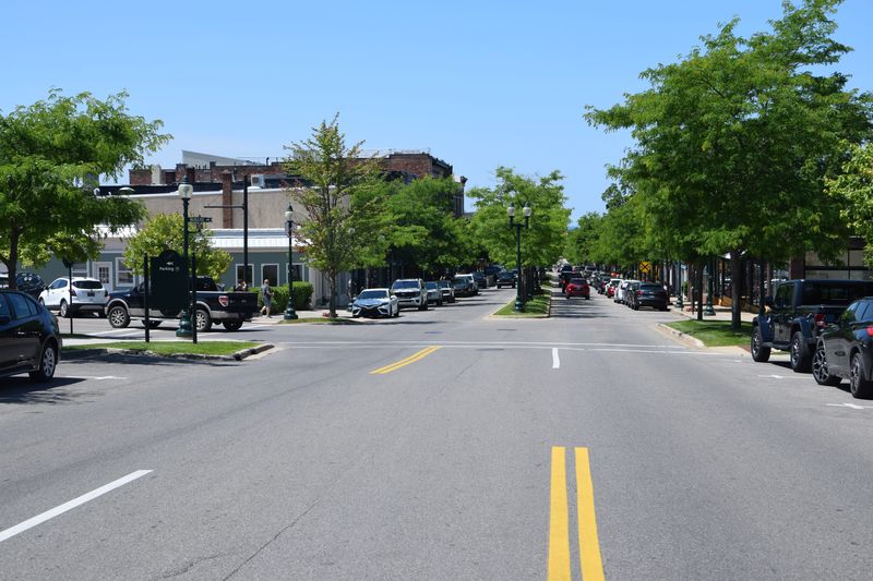 Mitchell Street in downtown Petoskey is shown.