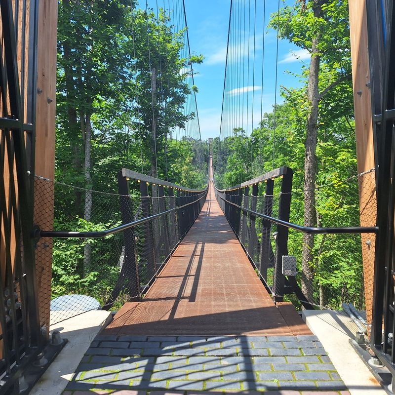 SkyBridge opened in 2022 at Boyne Mountain Resort. Walkers will ride a chairlift to the top and then stroll along the 1,203-foot long, 118-foot-high pedestrian bridge.