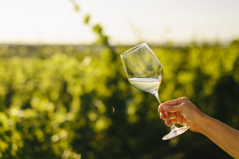 The Traverse City Food and Wine event features more than 70 events at restaurants, wineries and in downtown Traverse City August 20-24.