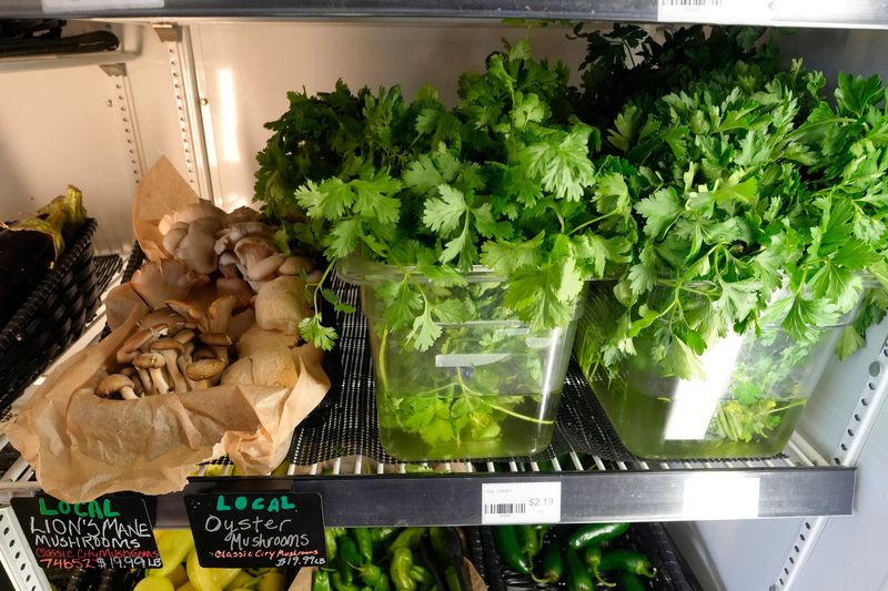 A selection of locally produced mushrooms and cilantro
at the Daily Groceries Co-Op in Athens, Georgia, on Wednesday, July 23, 2025. Daily has been an Athens staple for over three decades providing organic and locally sourced produce, bread and everything from vegan cakes to a selection of vegan and classic sandwiches such as a ham and cheese Italian sub or their pork banh mi sandwich.