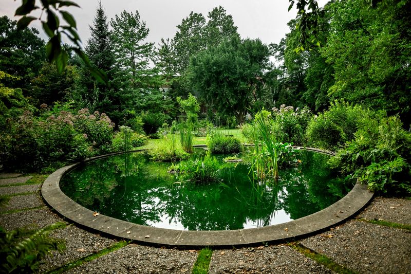 A view of the pond at Michigan State University's Beal Botanical Garden on Monday, Aug. 5, 2025, in East Lansing.
