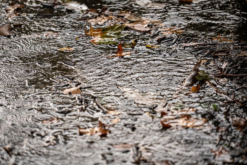 Rain puddles up as a storm rolls through during the the first day of the Iowa State Fair on Aug. 7, 2025, in Des Moines, Iowa.