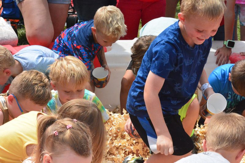 Kids participate in the Sawdust Coin Scramble as part of Kids Day at the Cheboygan County Fair on Thursday, Aug. 7, 2025.