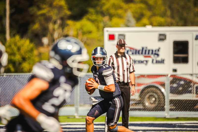 Hillsdale sophomore quarterback Colin McKernan.