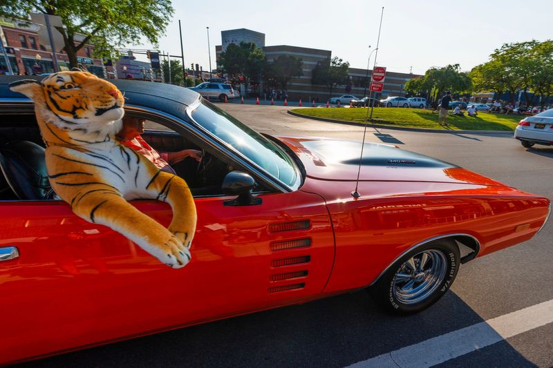 Cars, including this one with a stuffed Tiger sticking out of the passenger side window, drive on Woodward Avenue during the 30th Woodward Dream Cruise in Ferndale on Friday, Aug. 15, 2025.