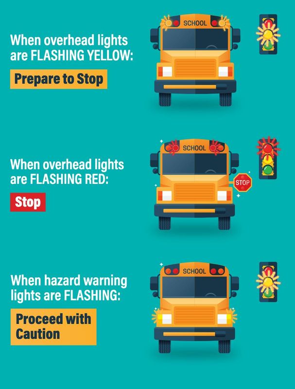 A look at the rules for school bus safety lights.