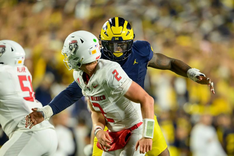 Cam Brandt is part of a returning group of edge rushers for Michigan.