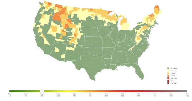 Fall foliage conditions for Michigan and the United States for the week of Sept. 15.