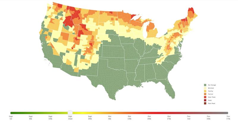 Fall foliage conditions for Michigan and the United States for the week of Sept. 22.