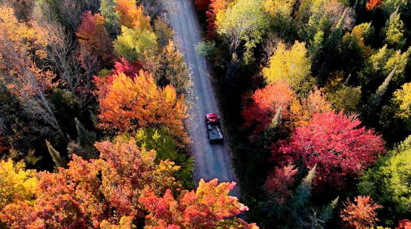 In Michigan, fall colors are abundant in late September through the end of October.