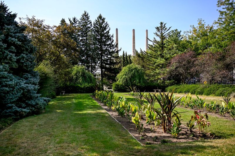 A view from Cooley Gardens on Tuesday, Sept. 9, 2025, in Lansing.