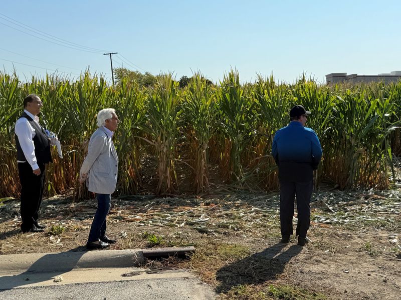(L to R) Jeff Holden, Frank Marktin, and Sean Carleton look over the property that will be Culver's in Dundee.