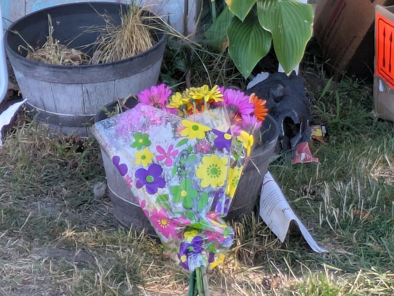 A single bouquet of flowers was left at the scene of the shooting Friday morning, where one child was killed and two others injured Thursday, Sept. 11 in Port Huron.