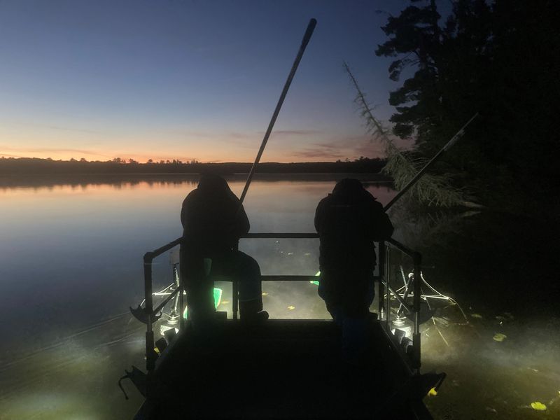 A Michigan Department of Natural Resources crew conducts a nighttime electrofishing survey.