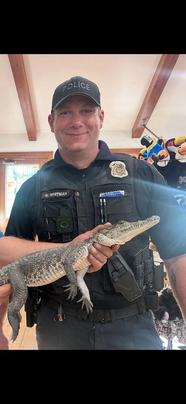 A Hampton Township police officers holds a 3-foot crocodile captured at a home.