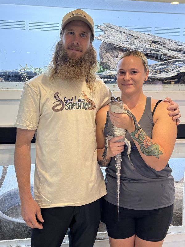Great Lakes Serpentarium owners Michael Wilson, left, and Kate Minnaar, right, pose for the media holding Fáfnir, the Belle Isle alligator, on Thursday, Oct. 2, 2025.