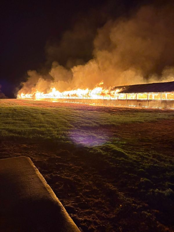 More than nine local fire departments responded to a turkey barn blaze in Olive Township on Oct. 21.