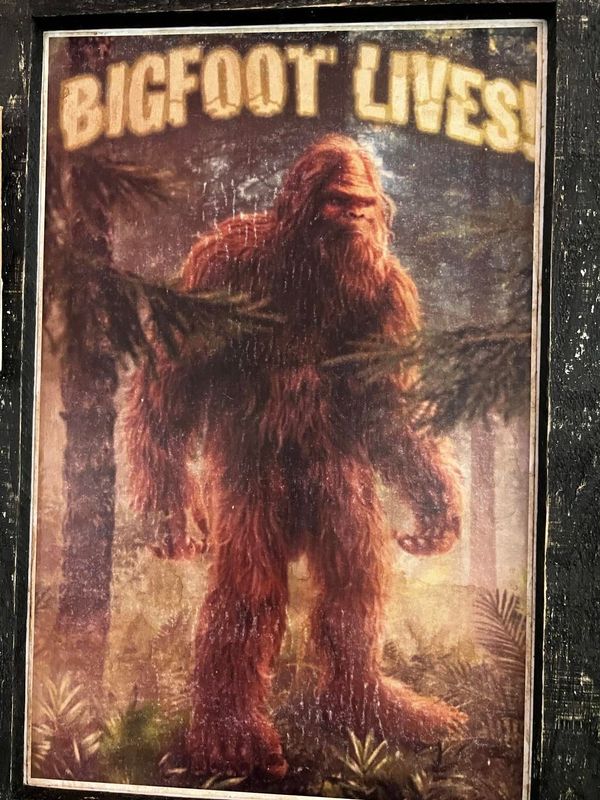 Michigan ranks fifth on the list for Bigfoot sightings.