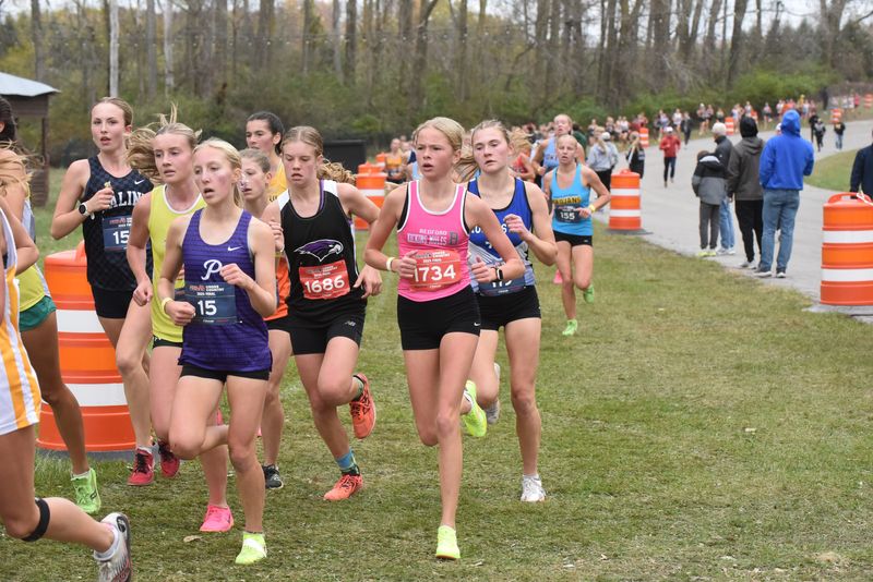 Bedford's Audrey Grosteffon (1734) runs in the state cross country finals at Michigan International Speedway on Saturday, Nov. 1, 2025.