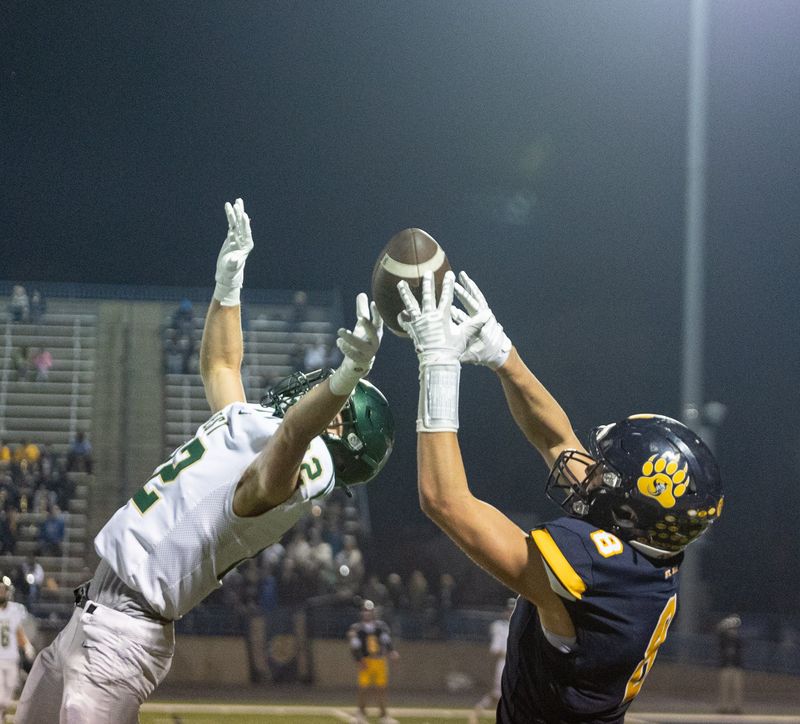 The Zeeland West secondary will be a key to the Dux high school football season.