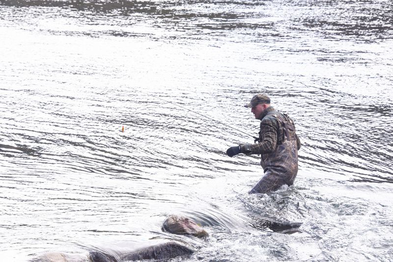 Jesse Gudenschwayger of Valparaiso, Indiana, wades in the tailwater of the Manitee River's Tippy Dam Monday, November 17, 2025. He and two buddies were fishing for three days for salmon or steelhead. The dam is one of 13 dams Consumer Energy is selling for $1 each to Confluence Hydro LLC, ad division of Hull Street Energy, a Maryland energy investment firm.