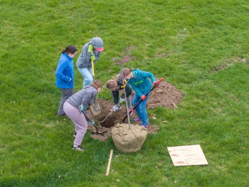 Trails, tree planting and conservation efforts are part of Marshall’s greenspace plan near BlueOval Battery Park.
