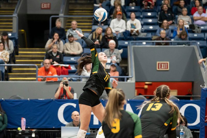 Flat Rock junior Sarah Giroux spikes during the Division 2 Final against Detroit Country Day at Kellogg Arena in Battle Creek on Saturday, Nov. 22, 2025.