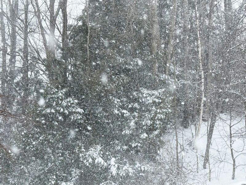 High winds and heavy snow hit Northern Michigan during a winter storm on Monday, Dec. 29, 2025.