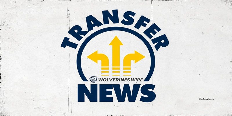 Michigan football transfer portal