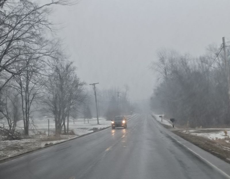 A car on South Stony Creek Road drives through fog and light rain in Carleton, Michigan.