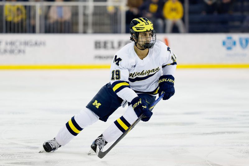 Michigan Wolverines forward Michael Hage