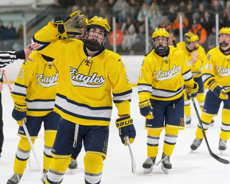 Hartland's Braelon Rodriguez (9) celebrates his game-winning goal with 23.5 seconds left in a 3-1 victory over Brighton Jan. 23, 2026.
