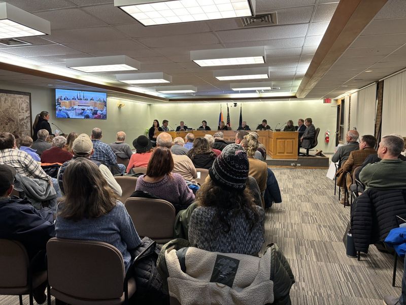 The Brighton Township Board of Trustees voted to approve a rezoning request for the last undeveloped parcel along Woodland Lake on Feb. 23, despite public opposition.