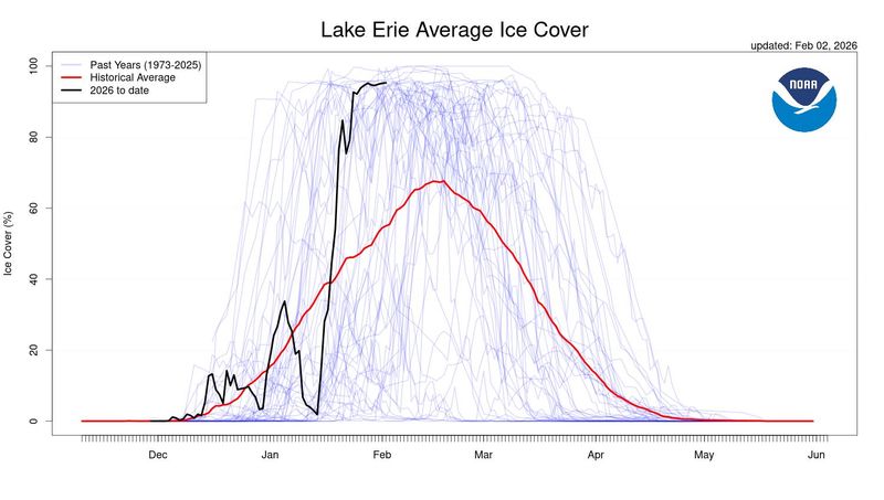 A chart from the National Oceanic and Atmospheric Administration shows the percentage of ice coverage on Lake Erie on Feb. 2 over 52 winters. The red line signifies the 52-year average ice cover on that date; the black line being this year.