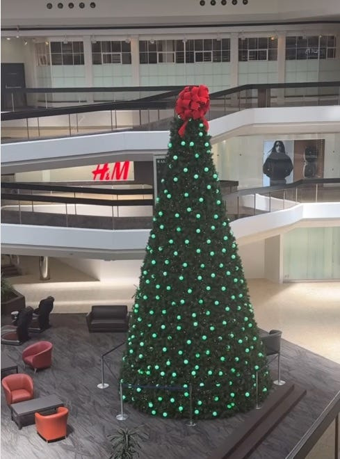 An image from a May 2025 Instagram post about the Christmas tree in Fairlane Town Center that went up in 2024 and was finally taken down in January 2026.