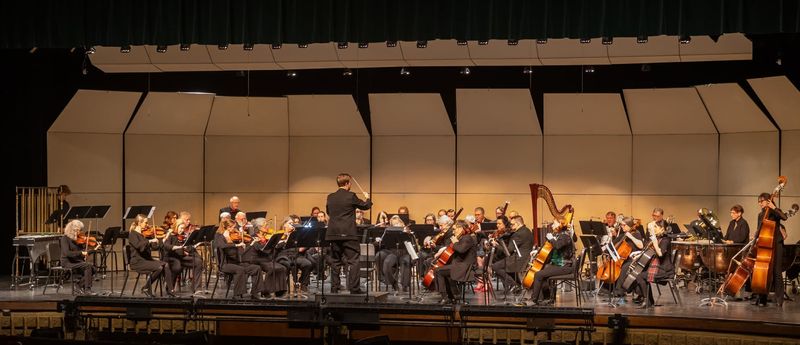 Musicians perform during a concert of the Livingston Symphony Orchestra in December 2025.