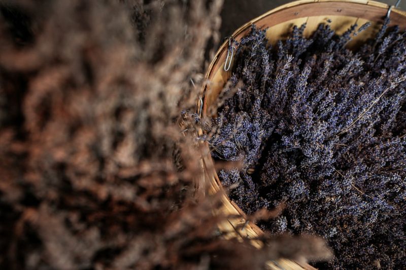 Baskets of cut lavender for sale are seen at Driftwood Lavender in Port Austin on Friday, Feb. 20, 2026.