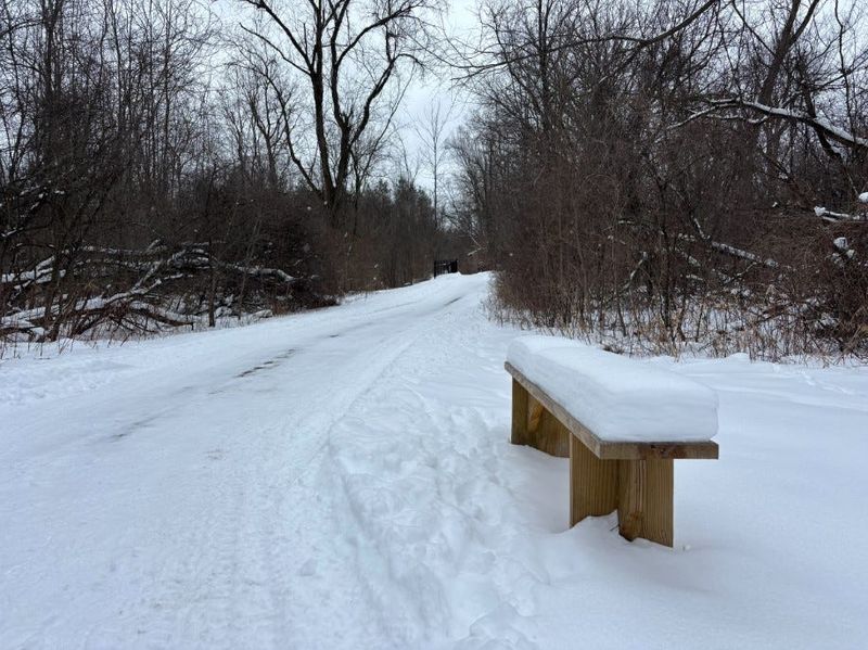 Snow piled up on a bench in Okemos, Michigan on Jan. 31.