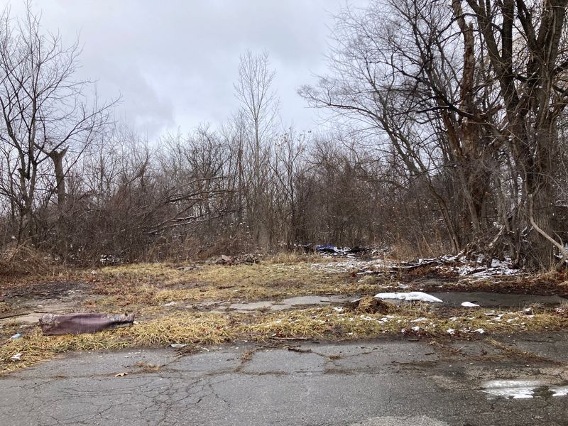 Some of the vacant land adjacent to the Coleman A. Young Municipal Airport on Detroit's east side that the city is trying to acquire, including from landowner Michael Kelly.