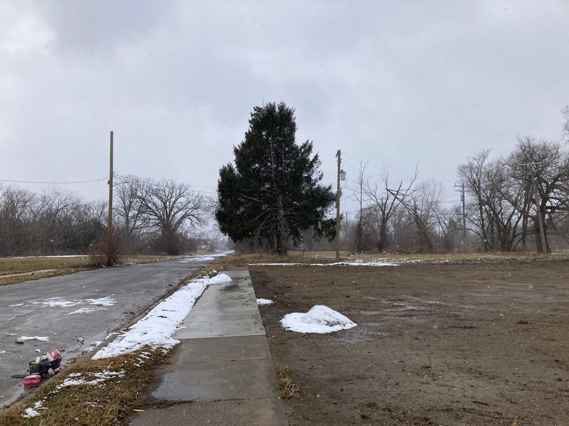 Some of the vacant land adjacent to the Coleman A. Young Municipal Airport on Detroit's east side that the city is trying to acquire, including from landowner Michael Kelly.