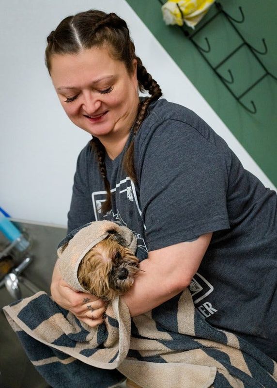 Pet groomer Amanda Hill of Rockin' Paws Pet Grooming towel dries Scout, a 6-year-old Shih Tzu.