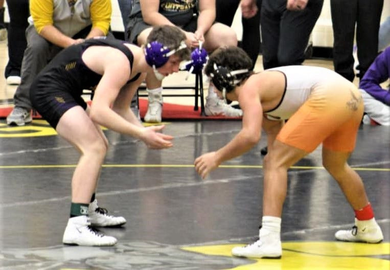 Blissfield's Gage Rothman