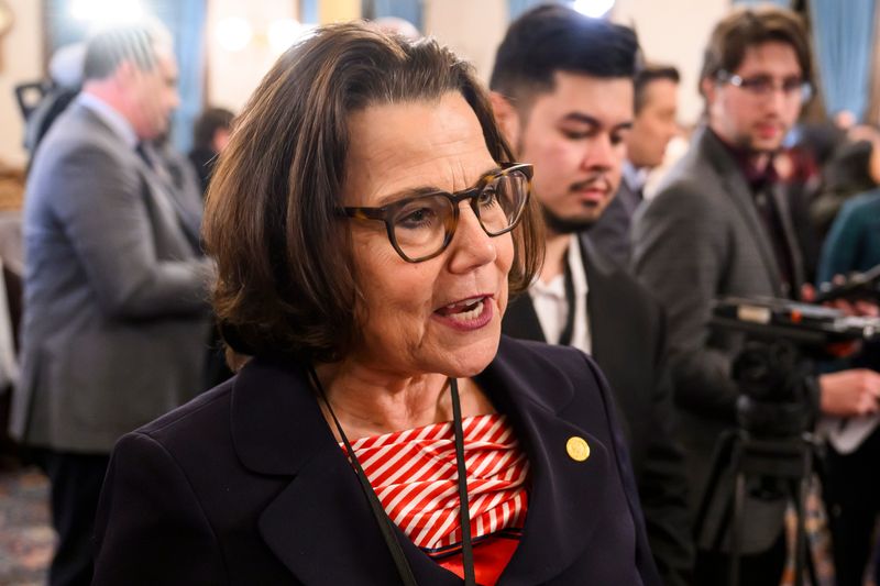 State Rep. Ann Bollin, chairwoman for the House Appropriations Committee, said the House Republican-authored spending cuts across state government reflects the "reality" of current state tax revenue.