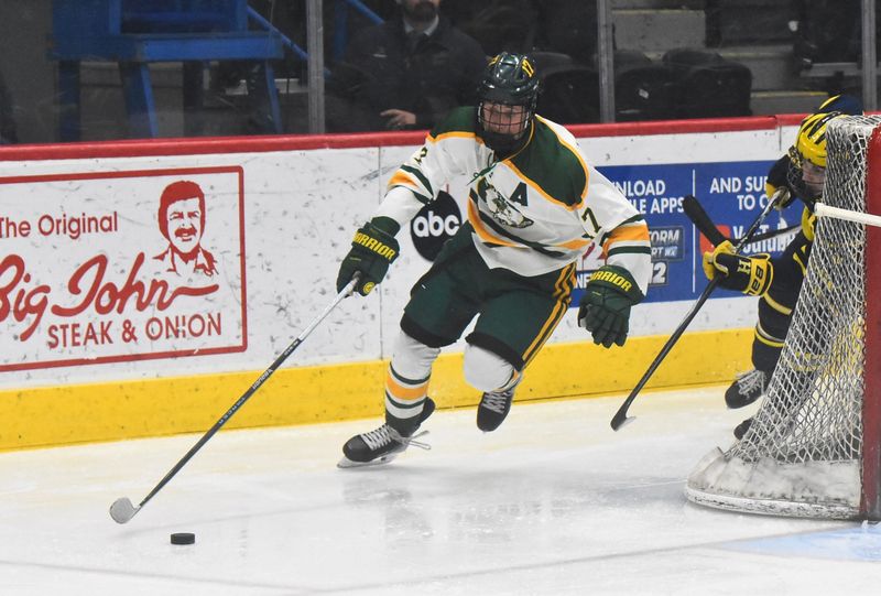 Bryce Eskola scored twice for Howell in a 6-3 victory over Hartland in a regional championship hockey game on Wednesday, Feb. 25, 2026 in Flint.