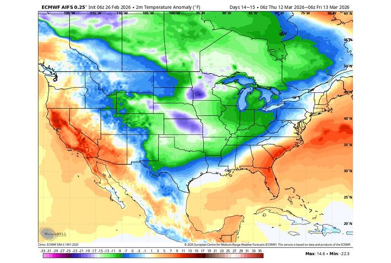 ECMWF forecast of 2-meter temperature anomalies for March 12–13. This map shows departures from average — not actual temperatures. Blue shades indicate below-average temperatures; orange and red shades indicate above-average temperatures.