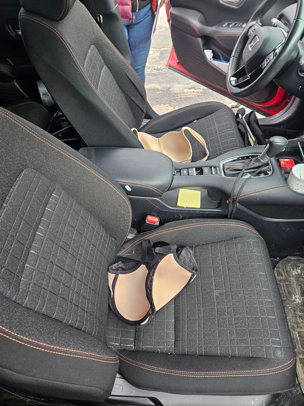 ACLU legal fellow Ewurama Appiagyei-Dankah and her translator were told they could not enter U.S. Customs and Immigrations Enforcement's North Lake detention center with their underwire bras on.