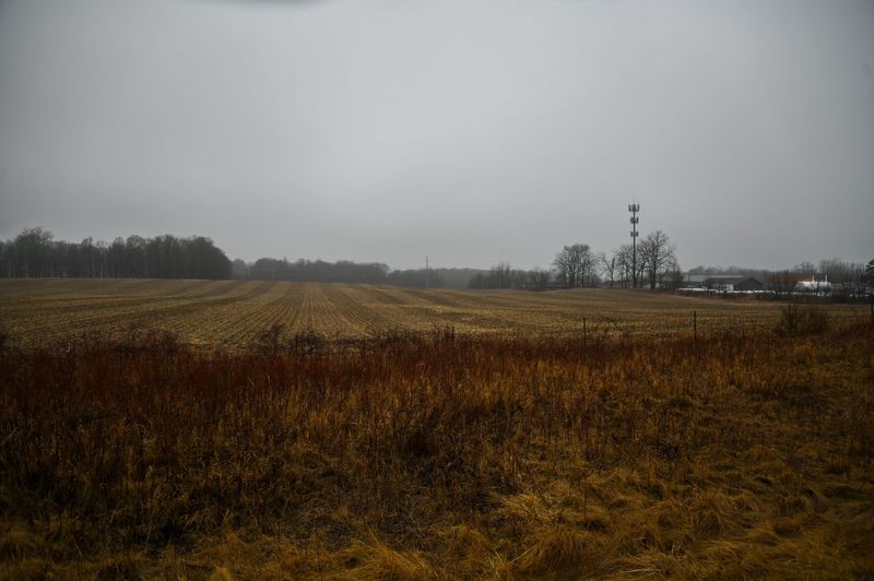 A parcel of farmland behind Wendy's in Mason off of Cedar Street, seen Thursday, March 5, 2026.