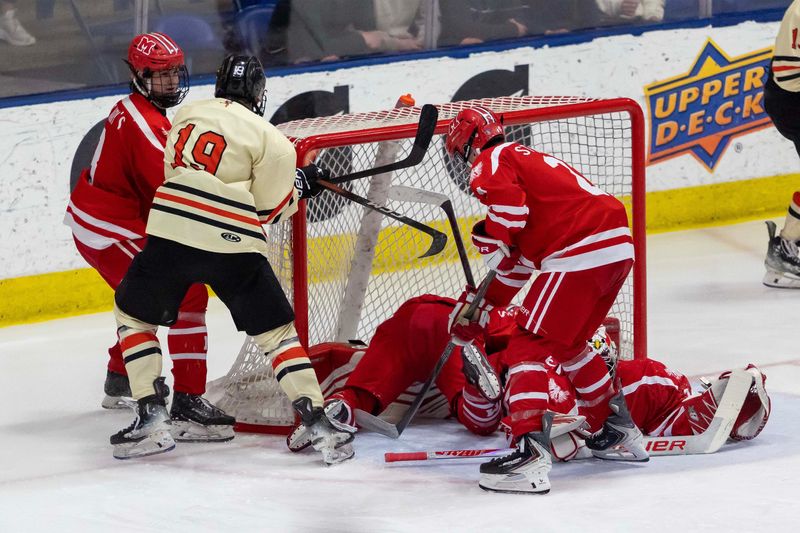 Connor Arko (19) of Houghton was one member of the boys' hockey dream team.